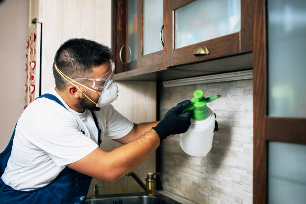 Best Affordable Pest Control Services  in St Paul, MN