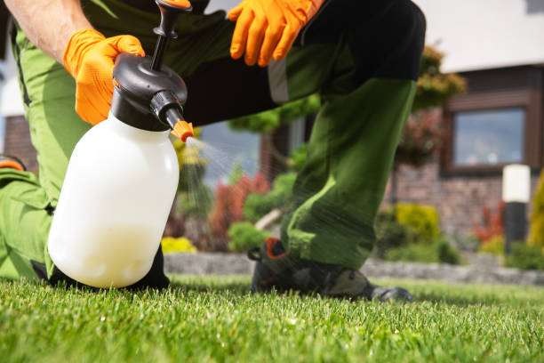 Best Affordable Pest Control Services  in St Paul, MN