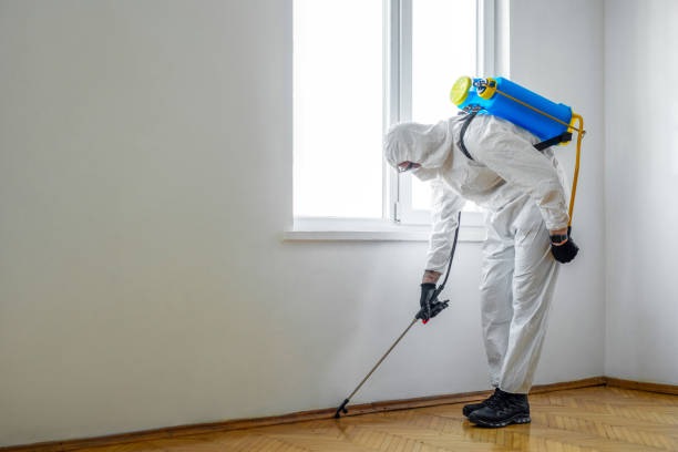 Best Affordable Pest Control Services  in St Paul, MN