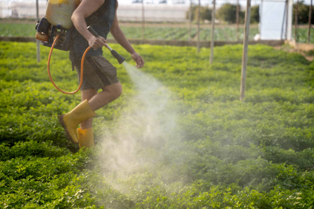 Best Commercial Pest Control Services  in St Paul, MN