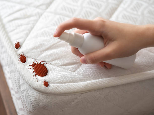 Best Pest Prevention Services  in St Paul, MN