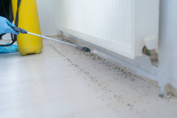 Trusted St Paul, MN Pest Control Experts